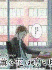 追星星的人